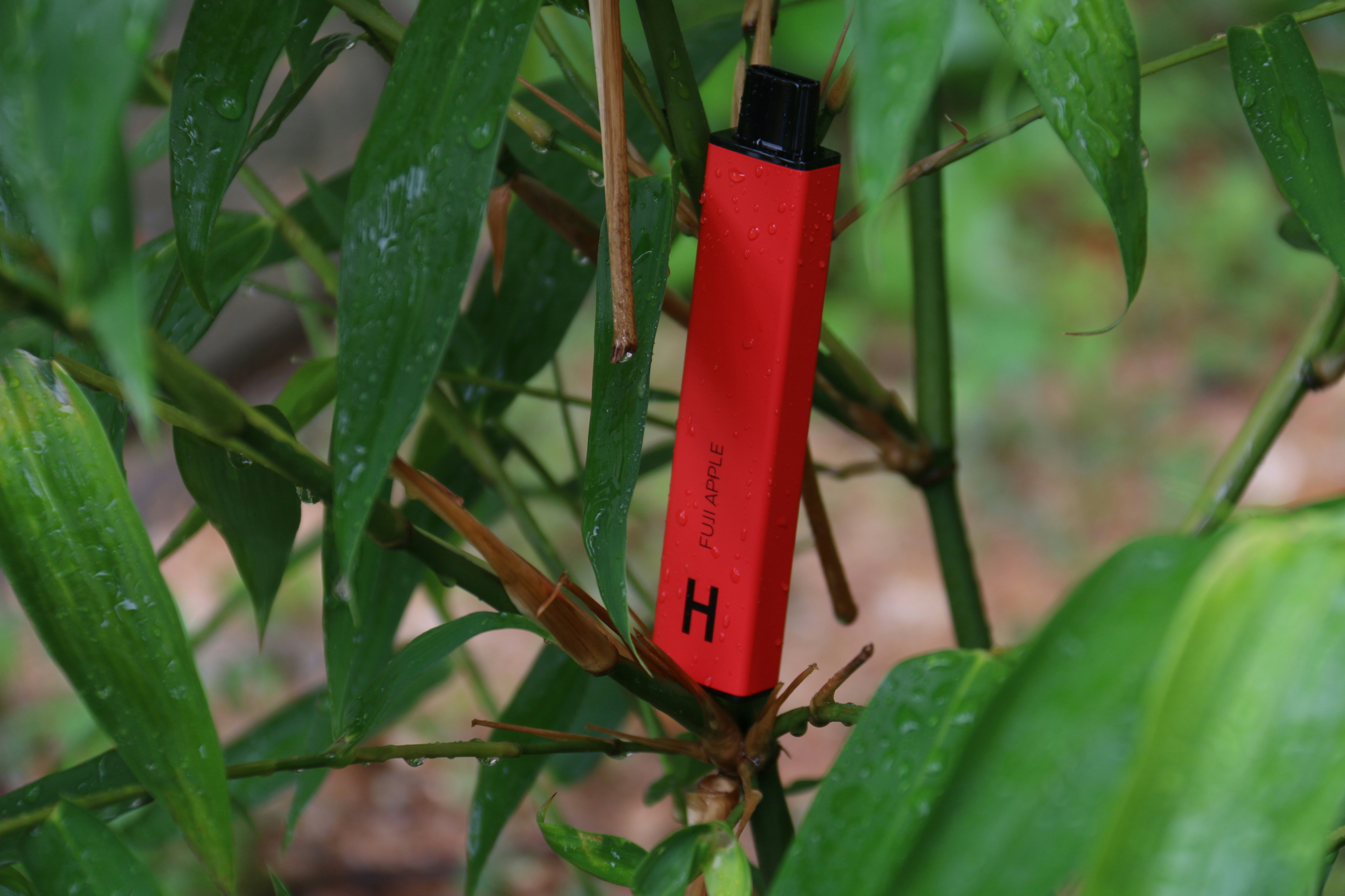 Destilado THC 1